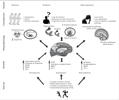 Expensive treatments aren't the only optio. Neuroscience Of Exercise From Neurobiology Mechanisms To Mental Health Semantic Scholar