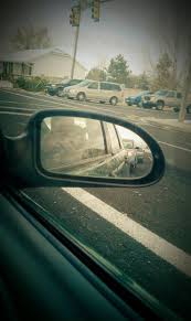 Rumble — adorable puppy looking out car window! Looking Out The Car Window By Macoroninoodle On Deviantart