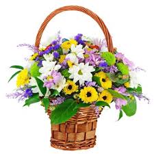 We have a variety of gift baskets some include plants, fresh flowers, fruit, or chocolate combinations. Send Flower Baskets To Tajikistan