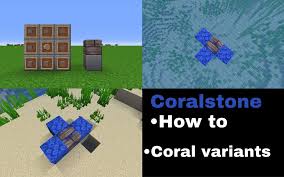 Pc/mac java edition, click the left mouse button and hold it down on the tube coral block. Upgrade Aquatic Full Book Minecraft Amino