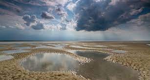 Zum beispiel anlässlich des zwölften geburtstags des weltnaturerbes wattenmeer am kommenden sonnabend, 26.juni: Das Weltnaturerbe Schleswig Holsteinisches Wattenmeer