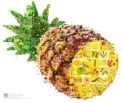 Individuelle fotos als wandbild oder auf einem fotoprodukt gehören zu den. Leuchtende Und Satte Collage Obst Und Gemuse In Form Einer Ananas Beschreibung Programmparameter Fur Das Erstellen Detailansicht Video Auflosung Beim Speichern