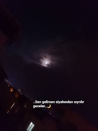 Ahi Tohum Tarim Adli Kullanicinin Bugs Bunny Panosundaki Pin Tavsiye Sozleri Ilham Verici Sozler Ilham Verici Alintilar
