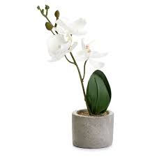 More than 6 oasis for flowers at pleasant prices up to 85 usd fast and free worldwide shipping! Artificial Flowers Artificial Plants Wilko Com