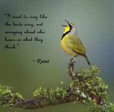 Last dollar (fly away) by: Singing Birds Quotes Quotesgram