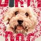The Dirty Dog Comedy Club event in Southend-on-Sea