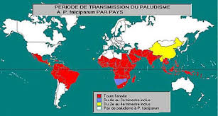 Une élévation de température (accès fébriles). Association Artemisia Contre Le Paludisme Le Paludisme