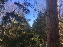 There is a vertical voltage drop from the wires to the ground. Nb Power Blames Backyard Power Poles For Extended Blackouts Cbc News