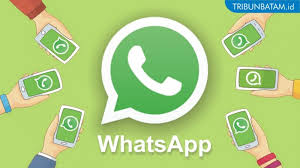 We did not find results for: Ingin Bikin Tulisan Di Foto Stiker Whatsapp Kamu Begini 4 Langkah Mudahnya Tribun Batam