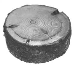 Hockey puck — noun a small black flat roundel of hardened rubber used as a playing piece in ice hockey to score points by moving the puck into the opponents goal net. Wooden Pucks The Birthplace Of Hockey