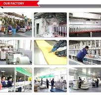 Wenzhou Sgl Auto Diesel Fuel Filter Fcs477, HDF904, Wk829/3, HDF924, Adg02342, Cx0707, F5100-1105100, UF0039-Z1, W3000-1105100, Cn3c159155ba, ...