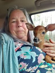 It's a sad day, got pushed off the road and hit a tree yesterday and had to  say goodbye to it today.