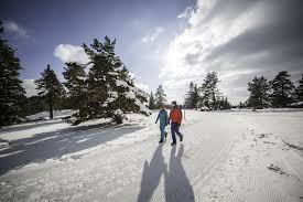 39 отметок «нравится», 3 комментариев — (@lady_mayapl) в instagram: Premium Winterwanderweg Schneewalzer In Albstadt Winterwandern Outdooractive Com