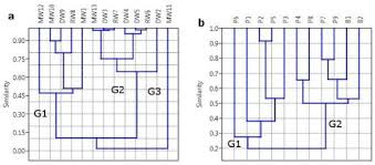 Geochemical Evaluation Of Soil Surface Water And