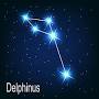 Delphinus constellation stars from www.collinsdictionary.com
