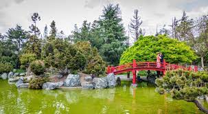 Local Guides Connect San Jose Japanese Friendship Garden Local Guides Connect