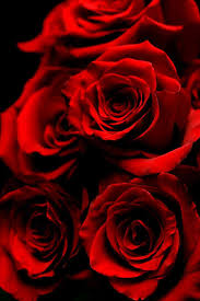 Clears love of black love witchcraft. Top Romantic Herbs Natural Medical Care