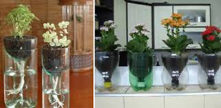 Pentru a crea un musetel. Cum Sa Faci Ghivece Din Sticle De Plastic Idei Diy