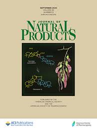 Image result for Morinda asteroscepa