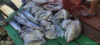 Luas wilayah laut yang merupakan bagian dari samudra pasifik ini memiliki luas kurang lebih 3.500.000 kilometer persegi. Jabatan Laut Wilayah Selatan Gelang Patah Johor Malaysia Local Business Facebook