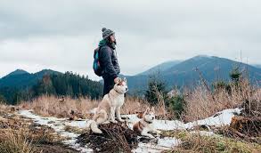 Lightweight hiking sandals at jet.com choose these sandals for ultralight hiking or to slip into your backpack for overseas expeditions. Top 24 Best Dog Breeds For Hiking 2021 Mytrail