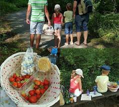 Il y a différentes activités que l'on pourrait leur proposer pendant les vacances. Comment S Occuper Pendant Les Vacances Et Week End Nos Idees De Sorties A Faire Avec Ou Sans Les Enfants Sandoline