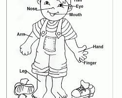 38+ body parts coloring pages for printing and coloring. Preschoolers Coloring Pages Of The Human Body Coloring Home
