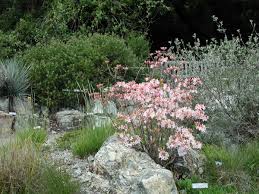 Maybe you would like to learn more about one of these? California Uc Botanical Garden