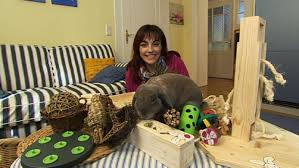 Bauen sie hochwertiges holzspielzeug für kinder ab 10 monaten einfach selbst! Diana Eichhorn Stellt Kaninchenspielzeuge Vor