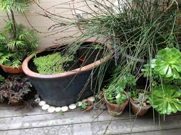 Miniteich Fur Den Balkon 29 Vorschlage Fur Die Gestaltung Balkon Den Die Fur Gestaltung Miniteich Vorschl Gartenteich Terrassenteich Gartenteich Bauen