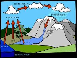 Water Cycle Rap Elementary Education Science Science Lessons Water Cycle