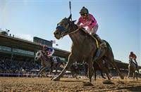 New Year S Day Tops Experimental Free Handicap Horse Racing Nation Kentucky Derby Sport Horse Thoroughbred Horse Racing