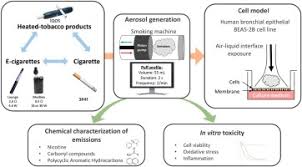Both smoke and carbon monoxide alarms need electricity to operate. Comparison Of The Chemical Composition Of Aerosols From Heated Tobacco Products Electronic Cigarettes And Tobacco Cigarettes And Their Toxic Impacts On The Human Bronchial Epithelial Beas 2b Cells Sciencedirect