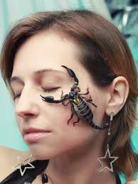 Chaos LC Offseason Plan 2021