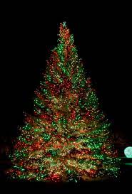 Get Best Christmas Tree Light Ideas To Make Attractive Cool Christmas Trees Outdoor Christmas Tree Christmas Tree Lighting