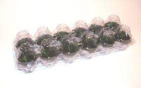Check spelling or type a new query. Mini Greenhouse From Upcycled Egg Cartons 4 Steps Instructables
