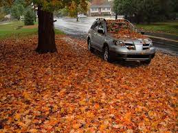 Fall Leaf Cleanup Ereplacementparts Com Diy Blog Front Yard Landscaping Simple Yard Landscaping Simple Yard Maintenance