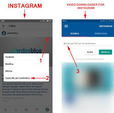 L'app per salvare le foto che ti piacciono su instagram. Scaricare Video Da Instagram Migliori Siti E App Per Farlo Giardiniblog