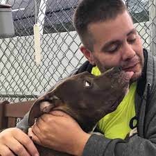 Guy Drives 2,800 Miles To Rescue A Pit Bull | Guy drives from California to  New York to save a pit bull he fell in love with 💚 | By Pittie Nation |  Facebook