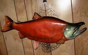 Here is a collection of our top fish games for you to play. 440lb Gambrel Hoist System Deer Hog Game Tree Hanging Gutting Pulleys Rope Sports Outdoors Game Handling Rayvoltbike Com