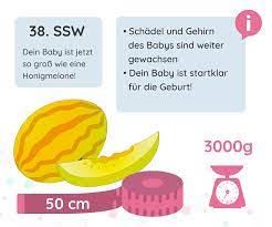 38 Ssw Schwangerschaftswoche Elternkompass