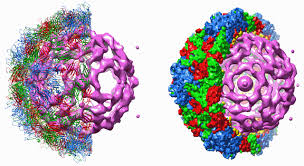 نتیجه جستجوی لغت [infect] در گوگل
