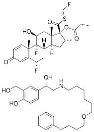 Image result for Salmeterol