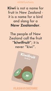 New Zealand Kiwi Kiwi And Kiwifruit Fun Facts For Kids Inspirational Quotes For Kids New Funny Memes