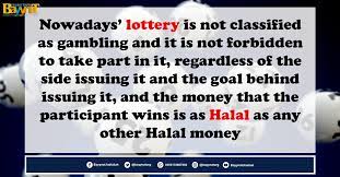 They are water creatures that are not fish. Nowadays Lottery Is Not Sayyed Fadlallah Institution Facebook