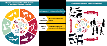 Anderson pest solutions offers a generous pest control guarantee to eradicate pests. Https Ipbes Net Sites Default Files 2020 10 20201028 20ipbes 20pandemics 20workshop 20report 20plain 20text 20final 0 Pdf