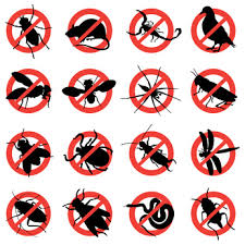 Eliminating weeds before they start growing in the spring is the best way to handle this frustrating and harmful lawn problem. Ambassador Pest Control Phoenix Your Pest Control Professionals
