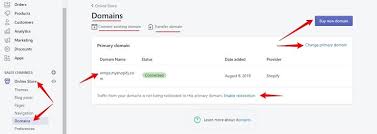 How To Use A Custom Domain For Your Shopify India Store Imtips