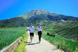 Wisata Terasering Sitegong Sukomakmur Magelang Yang Indah Berlatar Gunung Sumbing Halaman All Kompas Com