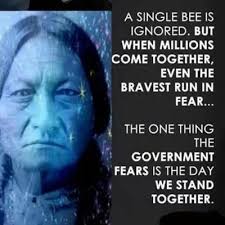 Wes Davidson (wdavidson0492)